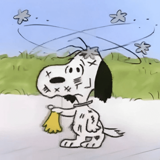 Snoopy 🫩 12