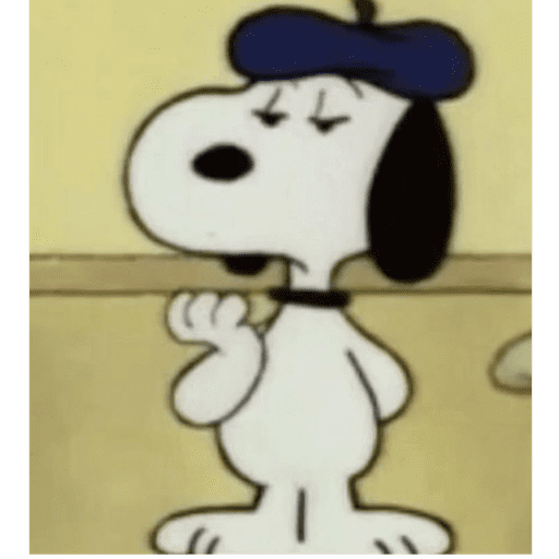 Snoopy 🫩 10