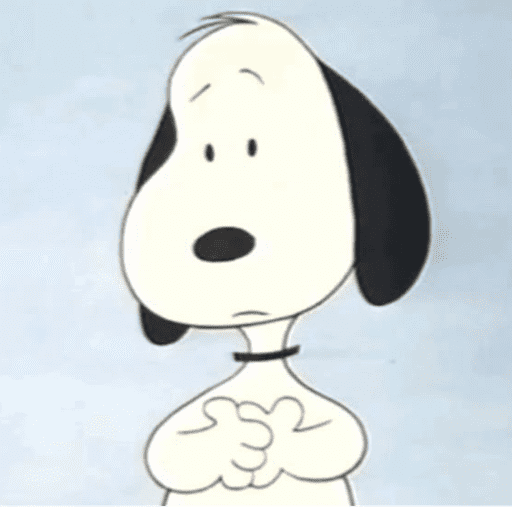Snoopy 🫩 27