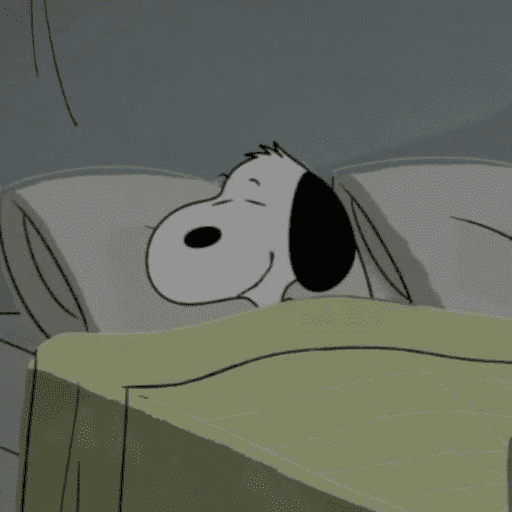 Snoopy 🫩 16