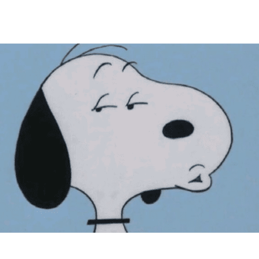 Snoopy 🫩 28