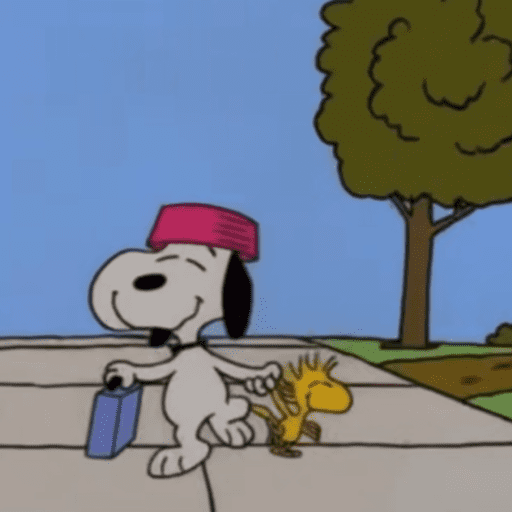 Snoopy 🫩 14