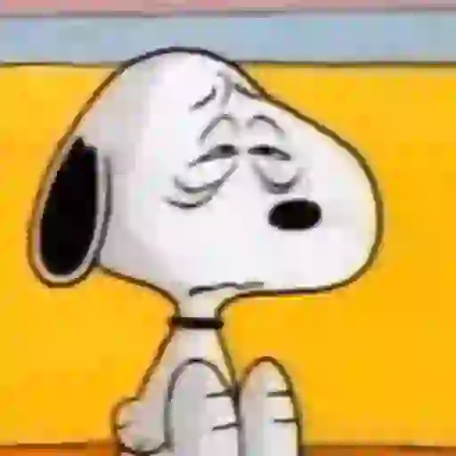 Snoopy 1