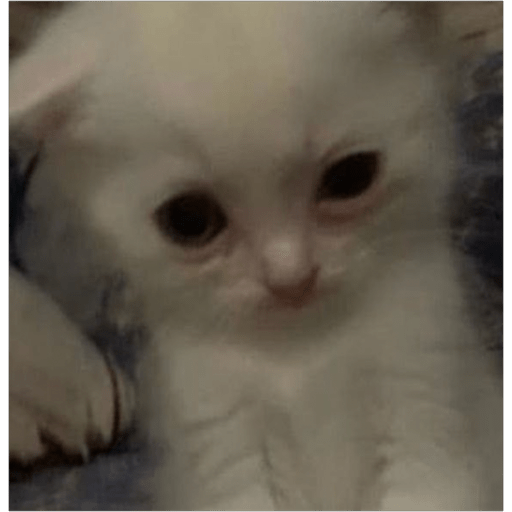 Aaaa 7