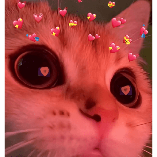 Love 23