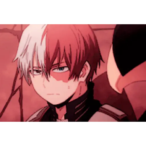 Todoroki Shōto 10 21