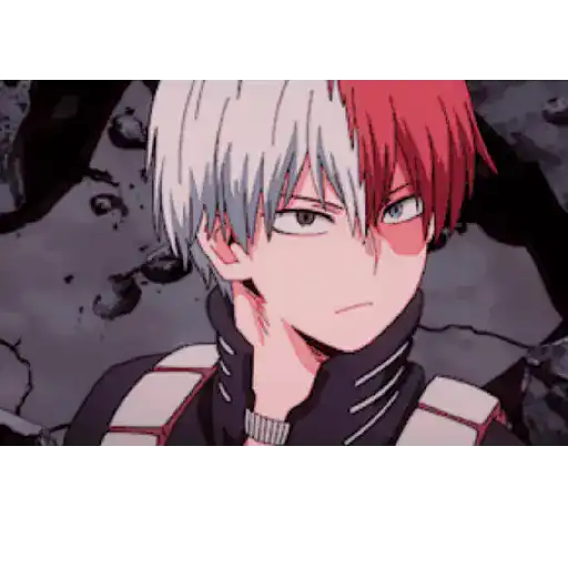 Todoroki Shōto 10 19