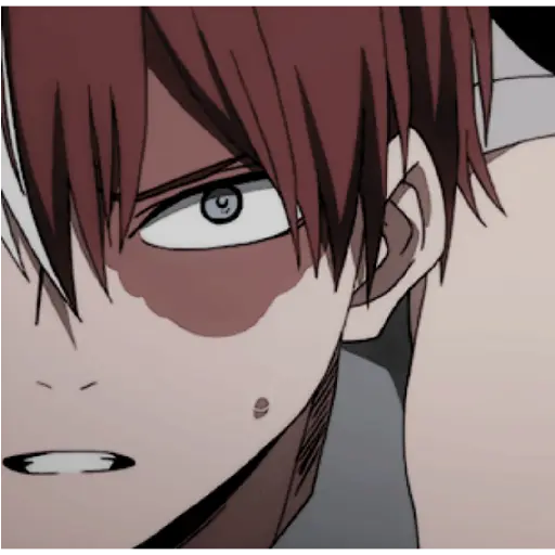 Todoroki Shōto 10 15