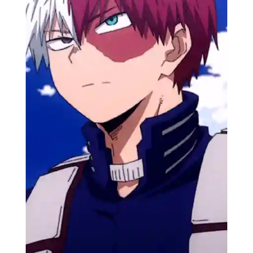 Todoroki Shōto 10 16