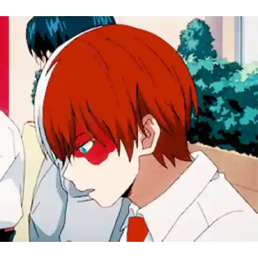 Todoroki Shōto 10 13