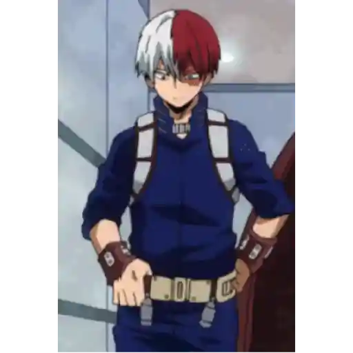 Todoroki Shōto 10 25