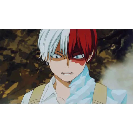 Todoroki Shōto 10 14