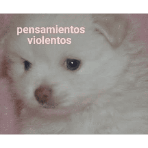 Mis pegatinas 21