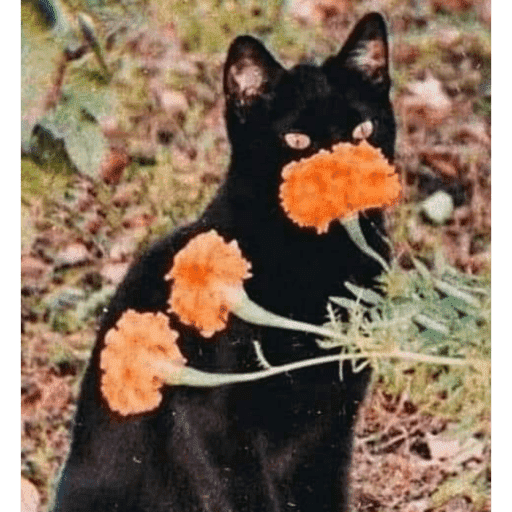 Mis pegatinas 30