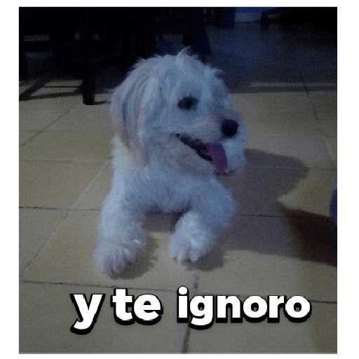Cosas raras de inicio :) 17