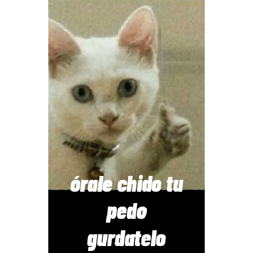Cosas raras de inicio :) 2