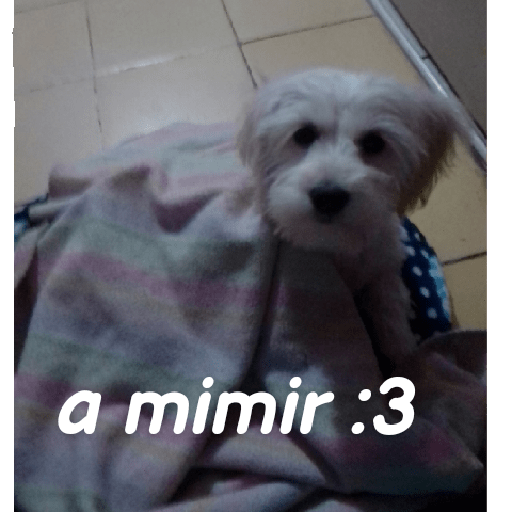 Cosas raras de inicio :) 5