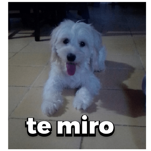 Cosas raras de inicio :) 16