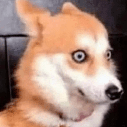 Doggo_6 25