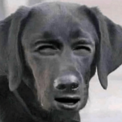 Doggo_6 20