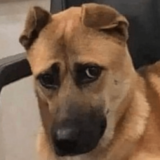 Doggo_6 4