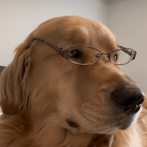Doggo_6 7