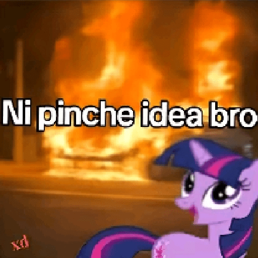 No te los robes rata 10