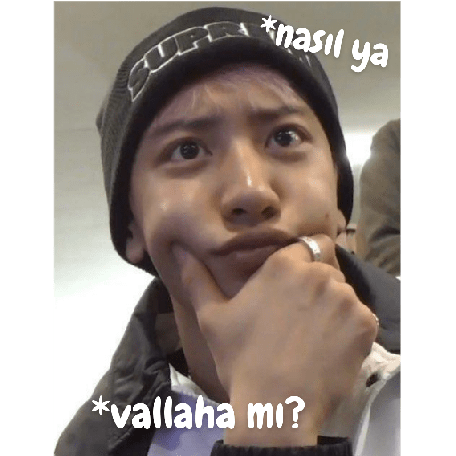 Exo türkçe çıkartmalar 2 6