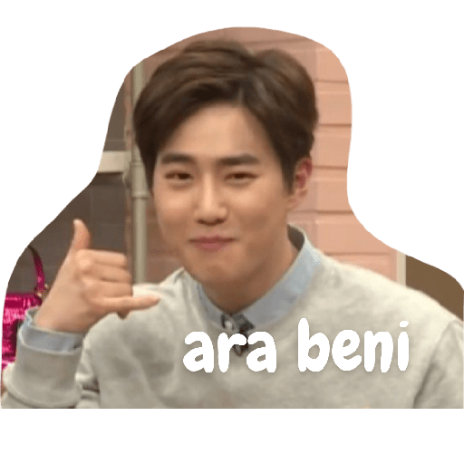 Exo türkçe çıkartmalar 2 5