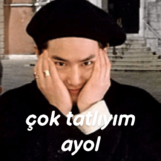 Exo türkçe çıkartmalar 2 16