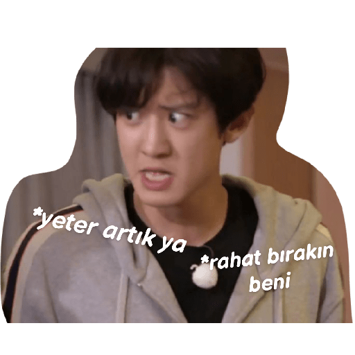 Exo türkçe çıkartmalar 2 12