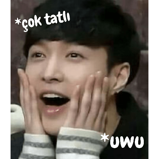 Exo türkçe çıkartmalar 2 4