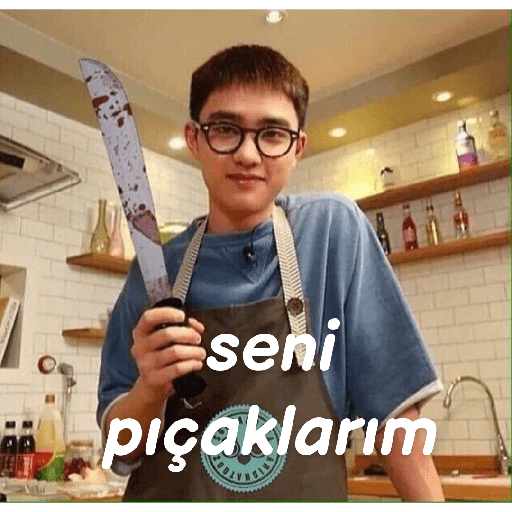 Exo türkçe çıkartmalar 2 19