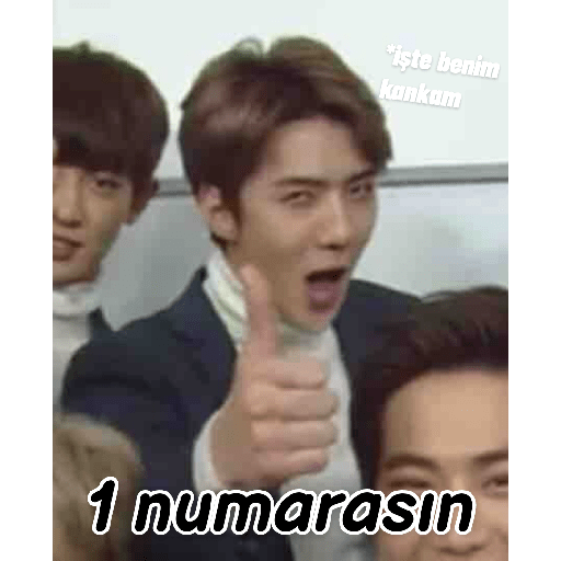 Exo türkçe çıkartmalar 2 26