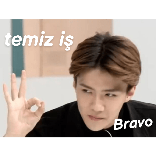 Exo türkçe çıkartmalar 2 23