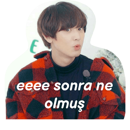 Exo türkçe çıkartmalar 2 14