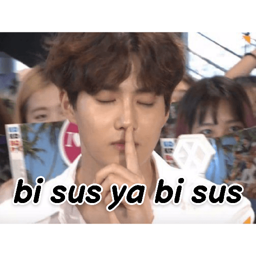 Exo türkçe çıkartmalar 2 24