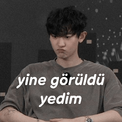 Exo türkçe çıkartmalar 2 10