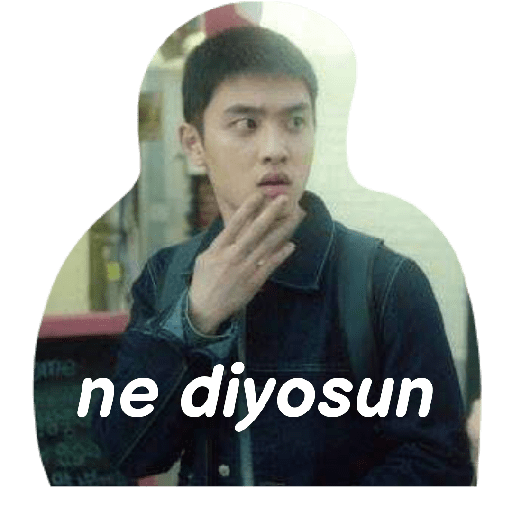 Exo türkçe çıkartmalar 2 21