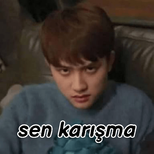 Exo türkçe çıkartmalar 2 25