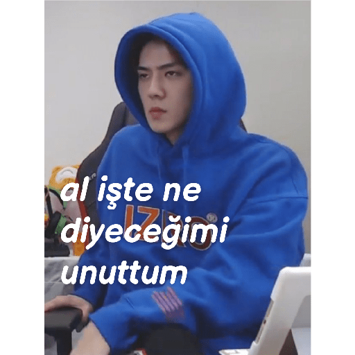 Exo türkçe çıkartmalar 2 28
