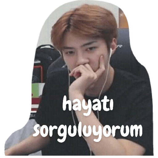 Exo türkçe çıkartmalar 2 2