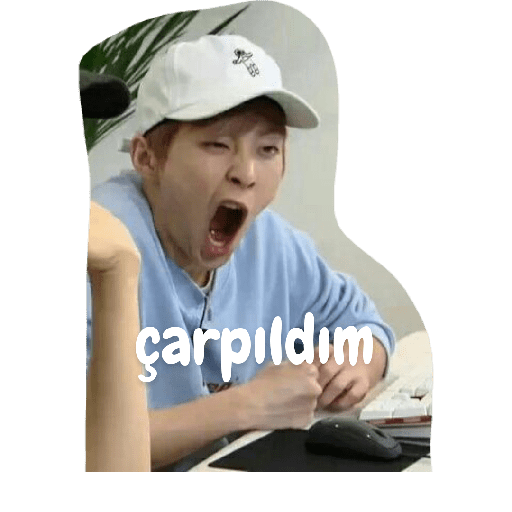Exo türkçe çıkartmalar 2 1