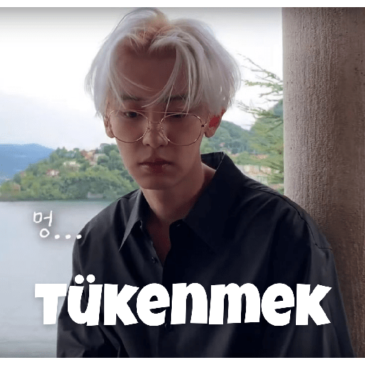 Exo türkçe çıkartmalar 2 13