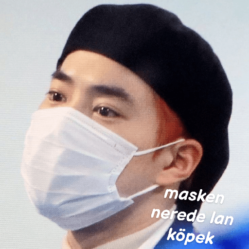 Exo türkçe çıkartmalar 2 17