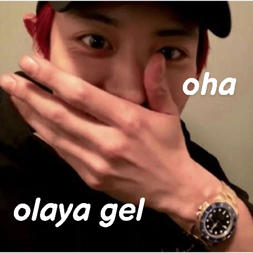 Exo türkçe çıkartmalar 2 8