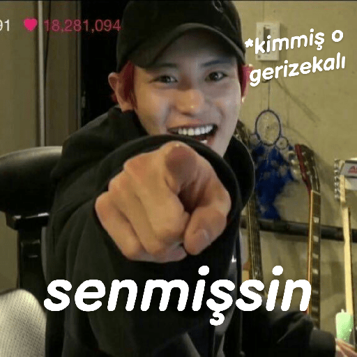 Exo türkçe çıkartmalar 2 7