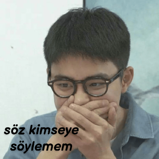 Exo türkçe çıkartmalar 2 20