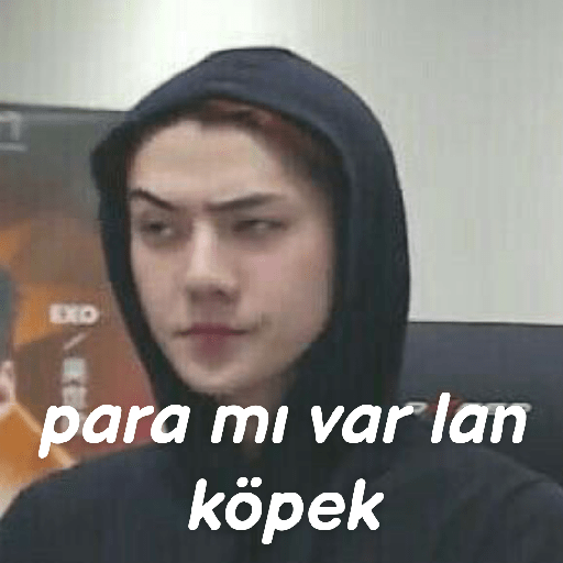 Exo türkçe çıkartmalar 2 22
