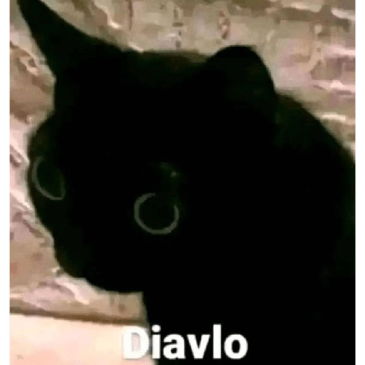 Uwu 24